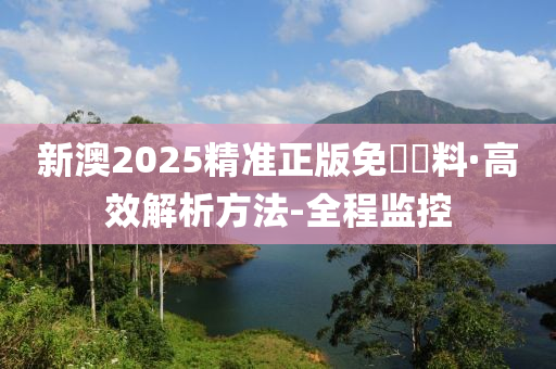 2025新澳精准正版免費資料,全面释义、解释与落实-警惕虚假宣传